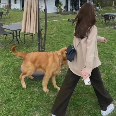 慈禧外传