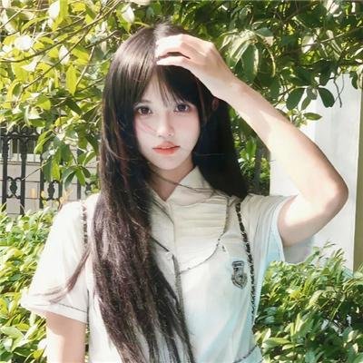 仓鼠管家